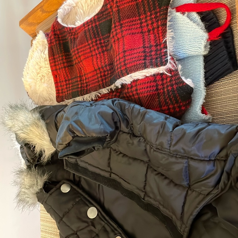 Dog coats and sweaters Eddie Bauer, Fashion Pet and more! Size Large